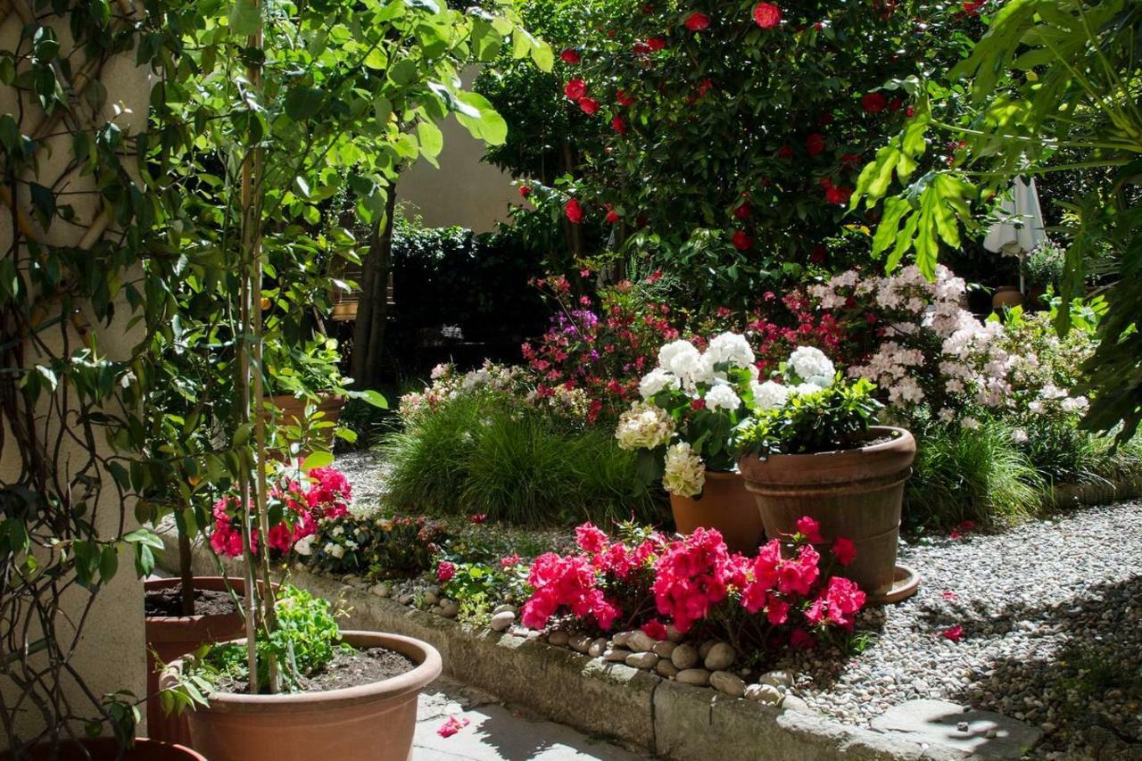 Joivy Cute 1-Bedroom Flat Next To Lake Como Dış mekan fotoğraf